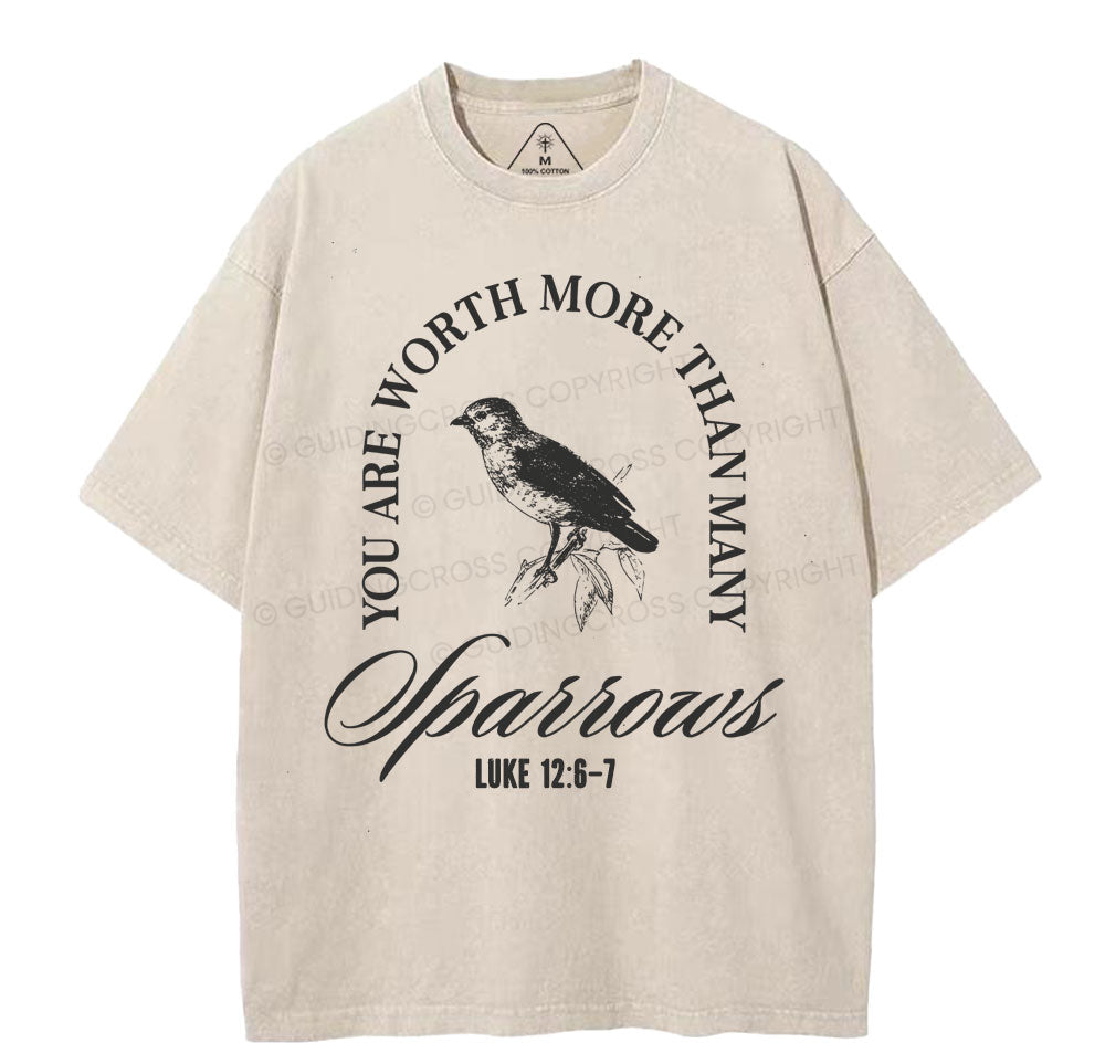 You Are Worth More Than Many Christian Washed TShirt  