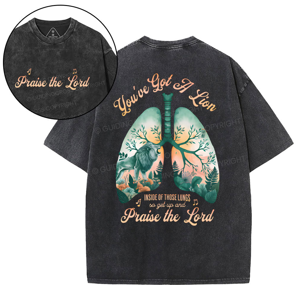You've Got A Lion Christian Washed TShirt  
